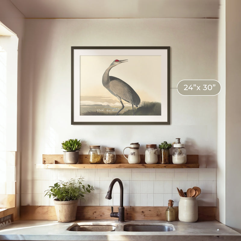Hooping Crane Print 2 - Sage and Rose Prints