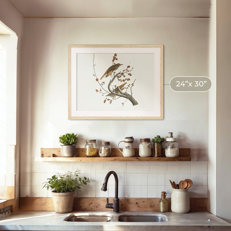 Naturalist Bird Print No2 - Sage and Rose Prints