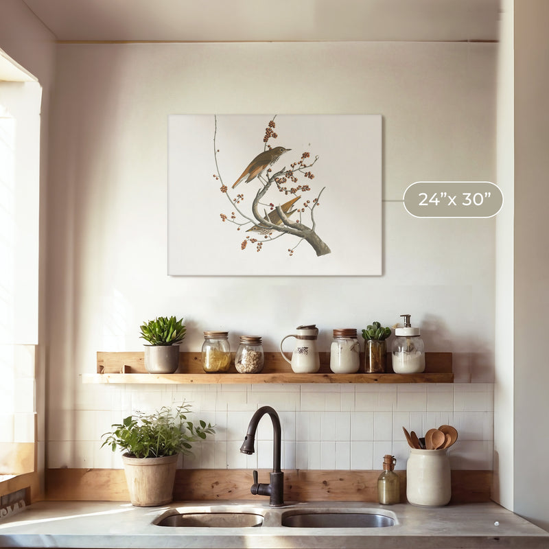 Naturalist Bird Print No2 - Sage and Rose Prints