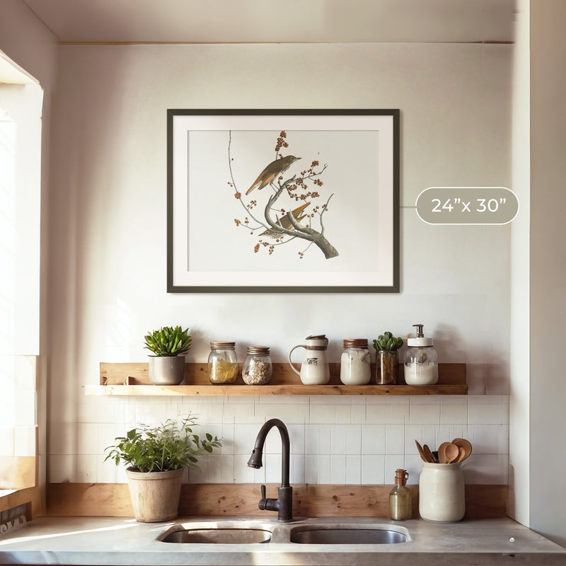 Naturalist Bird Print No2 - Sage and Rose Prints