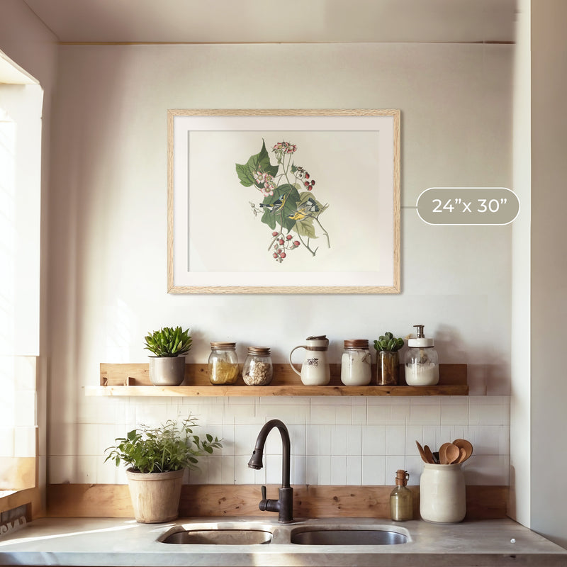 Black and Yellow Warbler Print 2 - Sage and Rose Prints