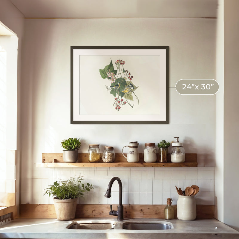 Black and Yellow Warbler Print 2 - Sage and Rose Prints