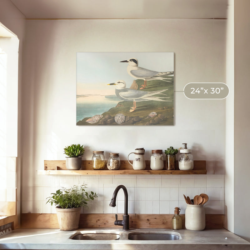 Seagull Artwork - Sage and Rose Prints