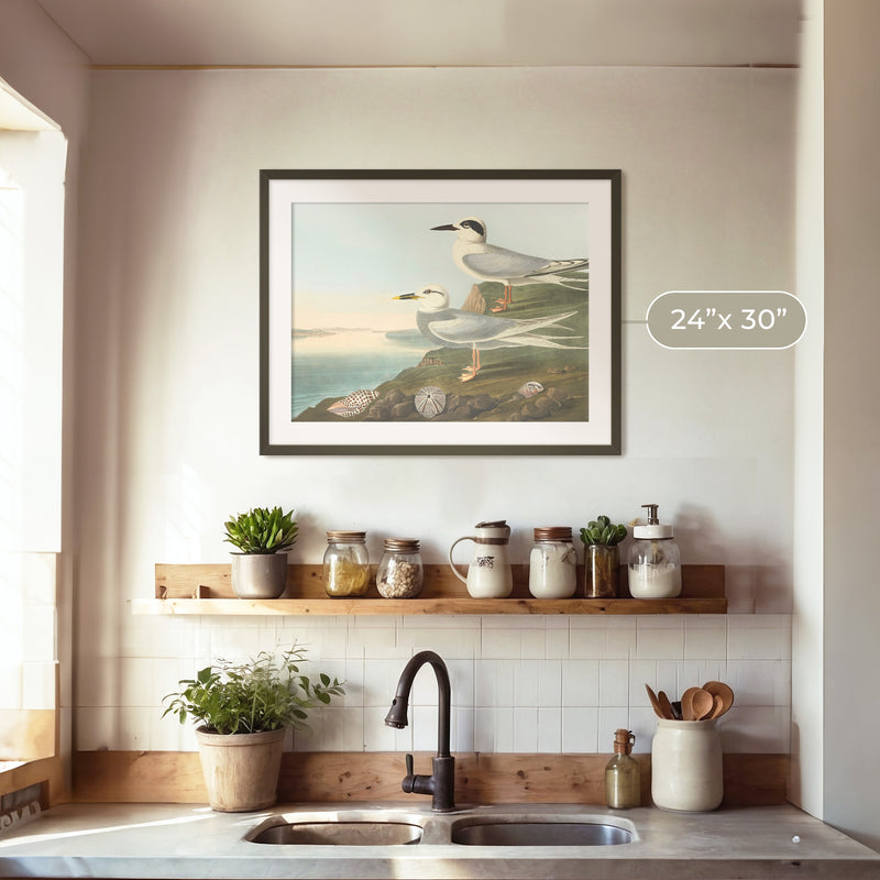 Seagull Artwork - Sage and Rose Prints