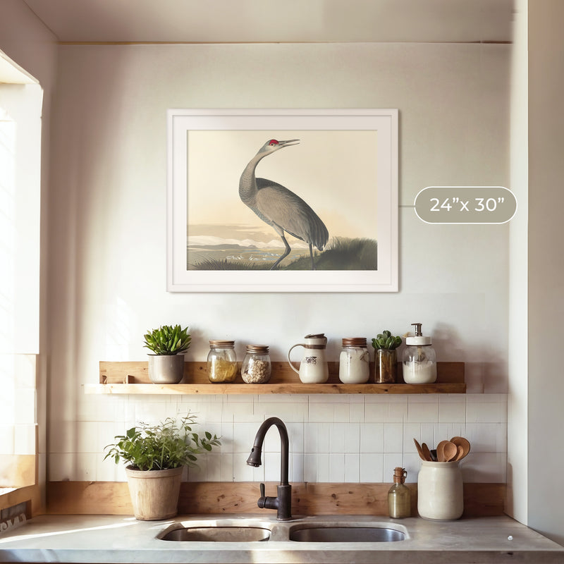 Hooping Crane Print 2 - Sage and Rose Prints