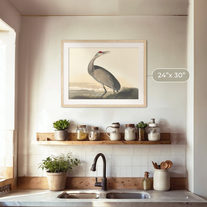 Hooping Crane Print 2 - Sage and Rose Prints