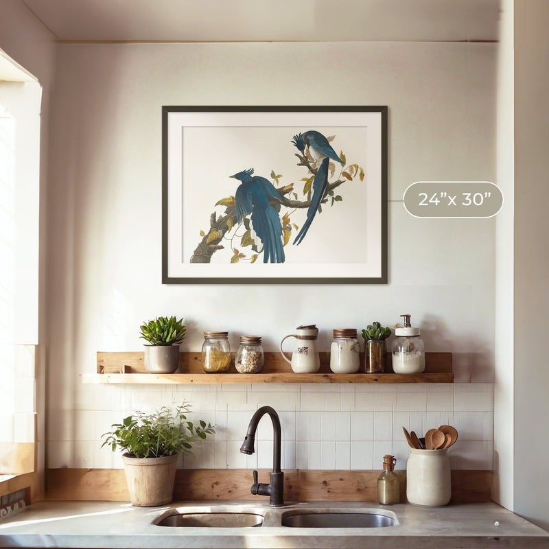 Jay Bird Artwork 2 - Sage and Rose Prints