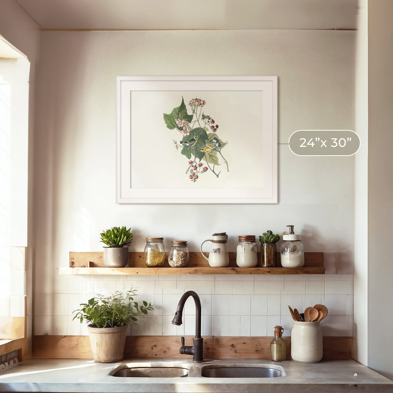 Black and Yellow Warbler Print 2 - Sage and Rose Prints