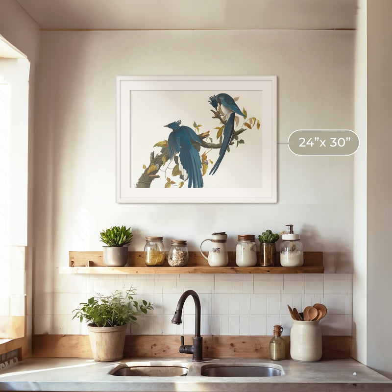 Jay Bird Artwork 2 - Sage and Rose Prints