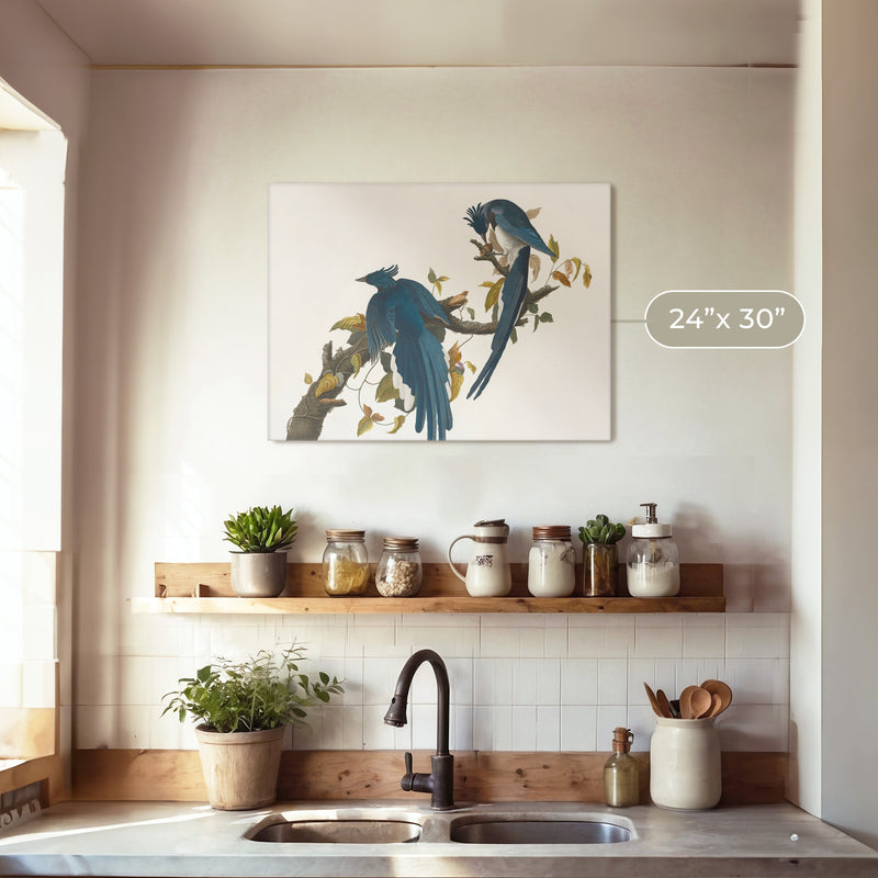 Jay Bird Artwork 2 - Sage and Rose Prints