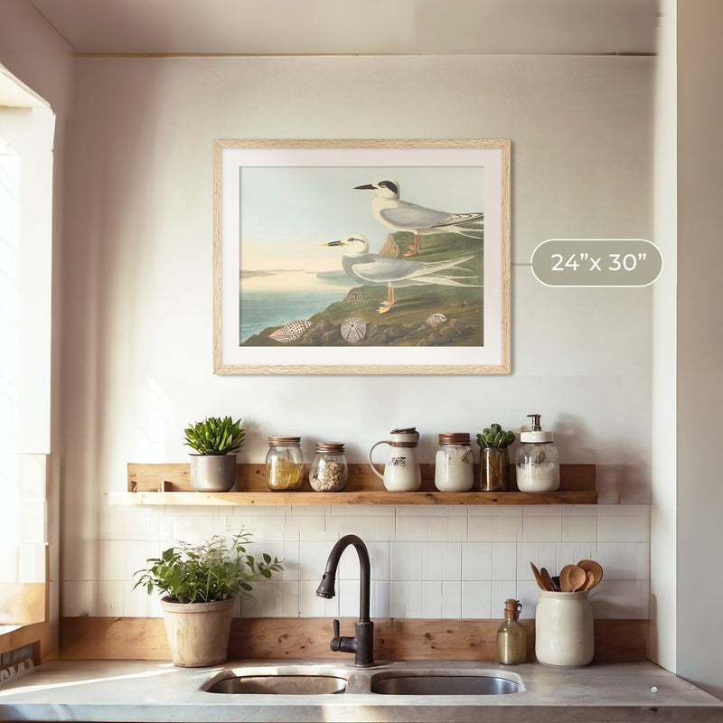Seagull Artwork - Sage and Rose Prints
