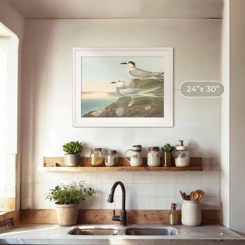 Seagull Artwork - Sage and Rose Prints
