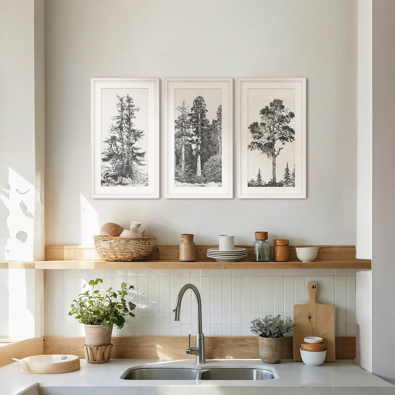 Black and White Tree Illustration Triptych - Sage and Rose Prints