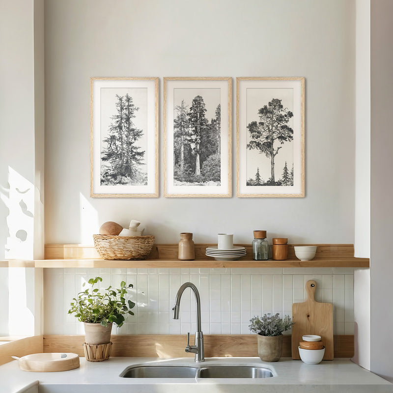 Black and White Tree Illustration Triptych - Sage and Rose Prints