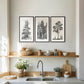 Mountain Package - Living Room A - 3x - Sage and Rose Prints