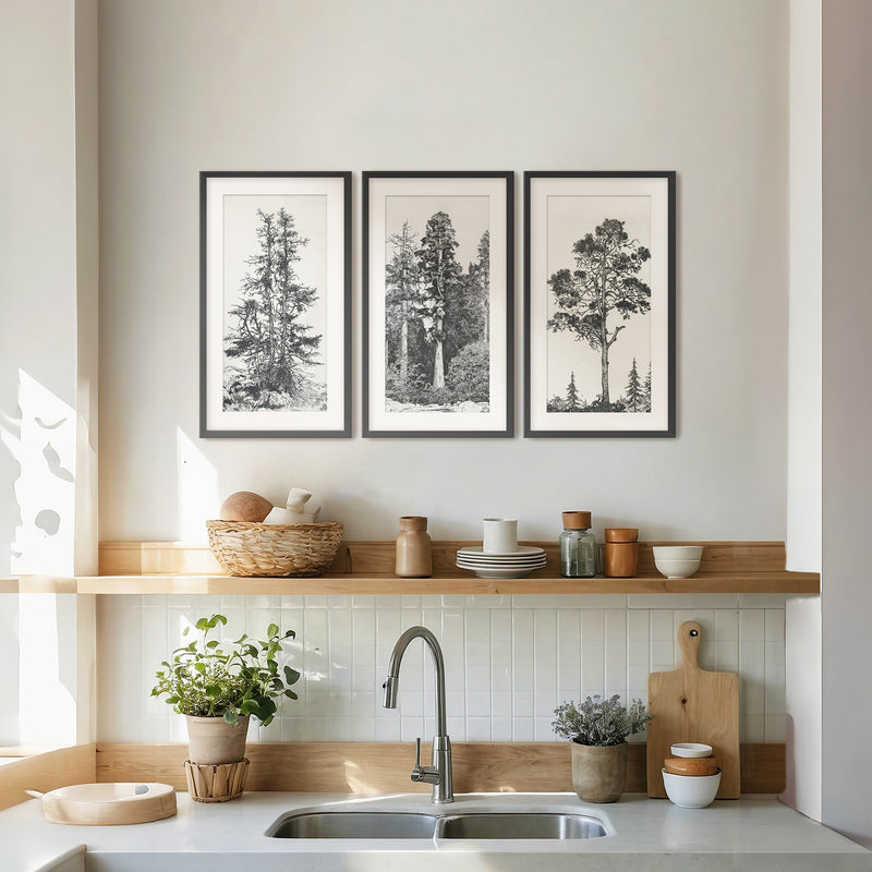 Black and White Tree illustration Triptych - Sage and Rose Prints