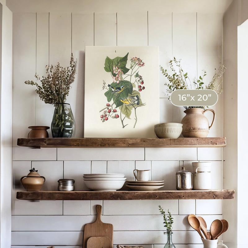 Black and Yellow Warbler Print - Sage and Rose Prints