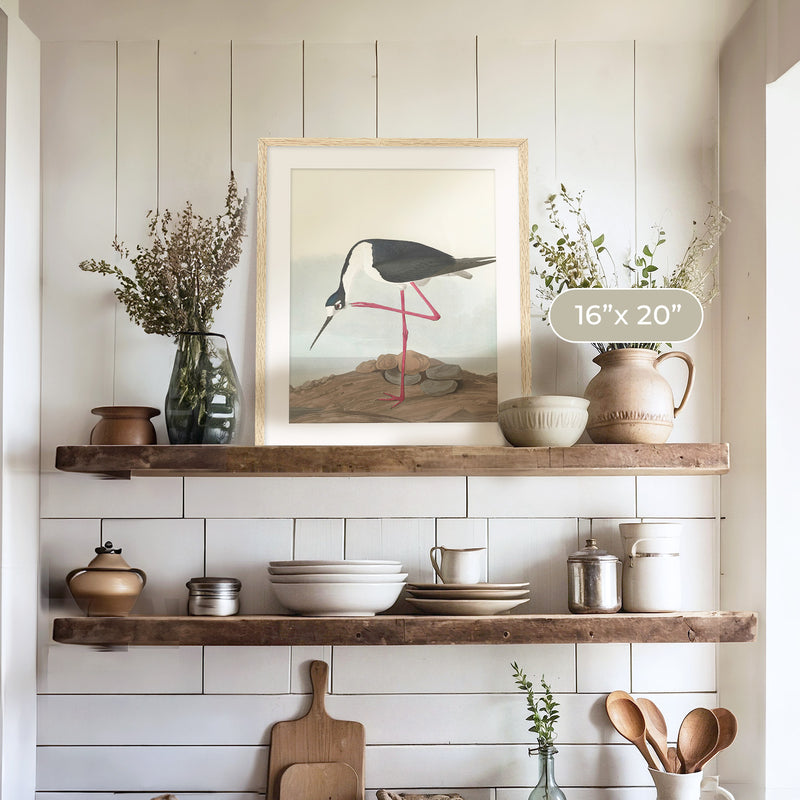 Black Necked Stilt Print - Sage and Rose Prints