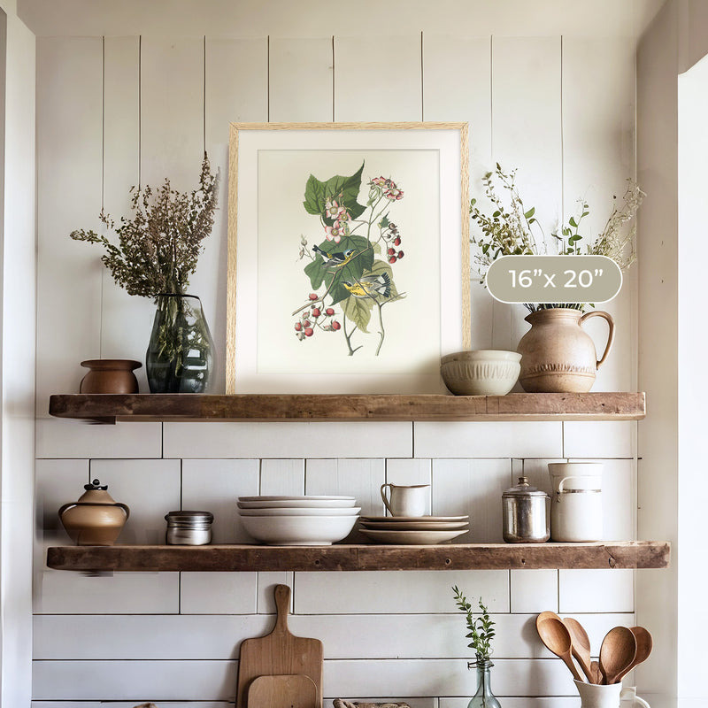 Black and Yellow Warbler Print - Sage and Rose Prints