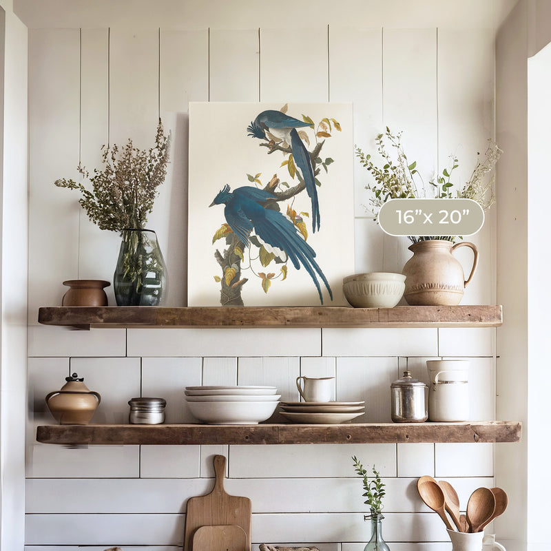 Jay Bird Artwork - Sage and Rose Prints