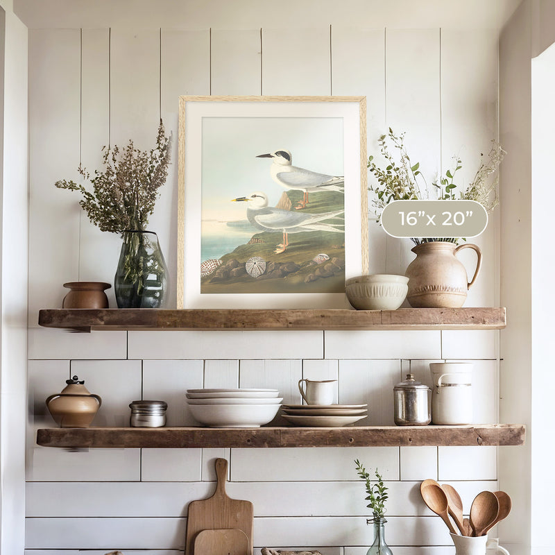 Seagull Print - Sage and Rose Prints