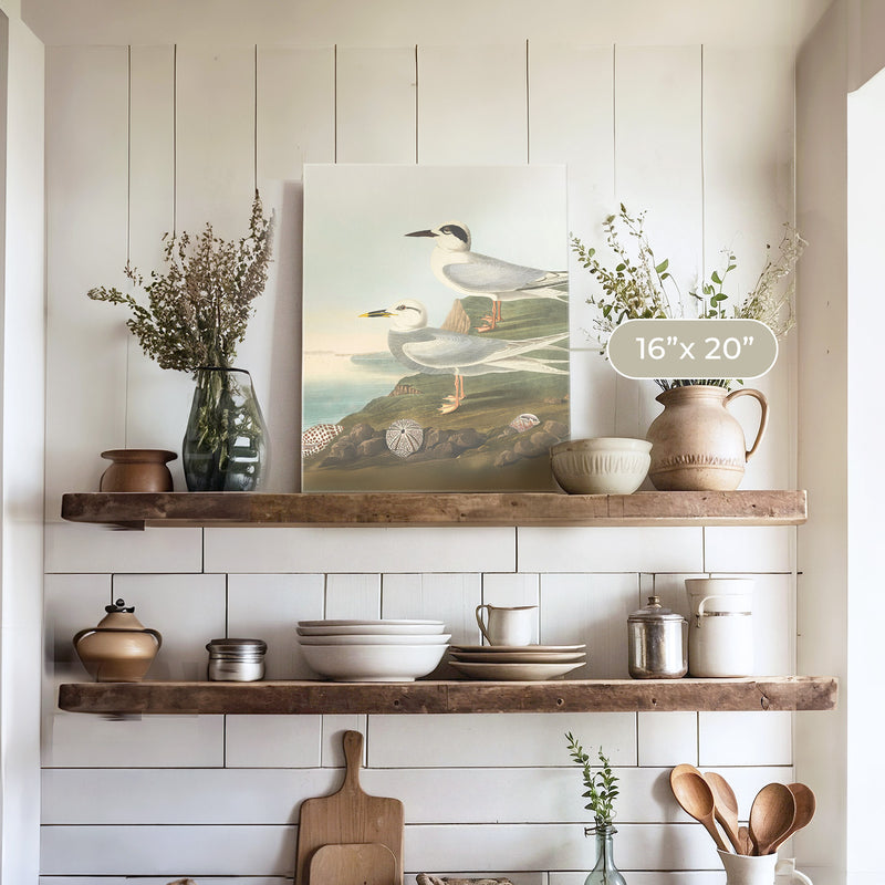 Seagull Print - Sage and Rose Prints