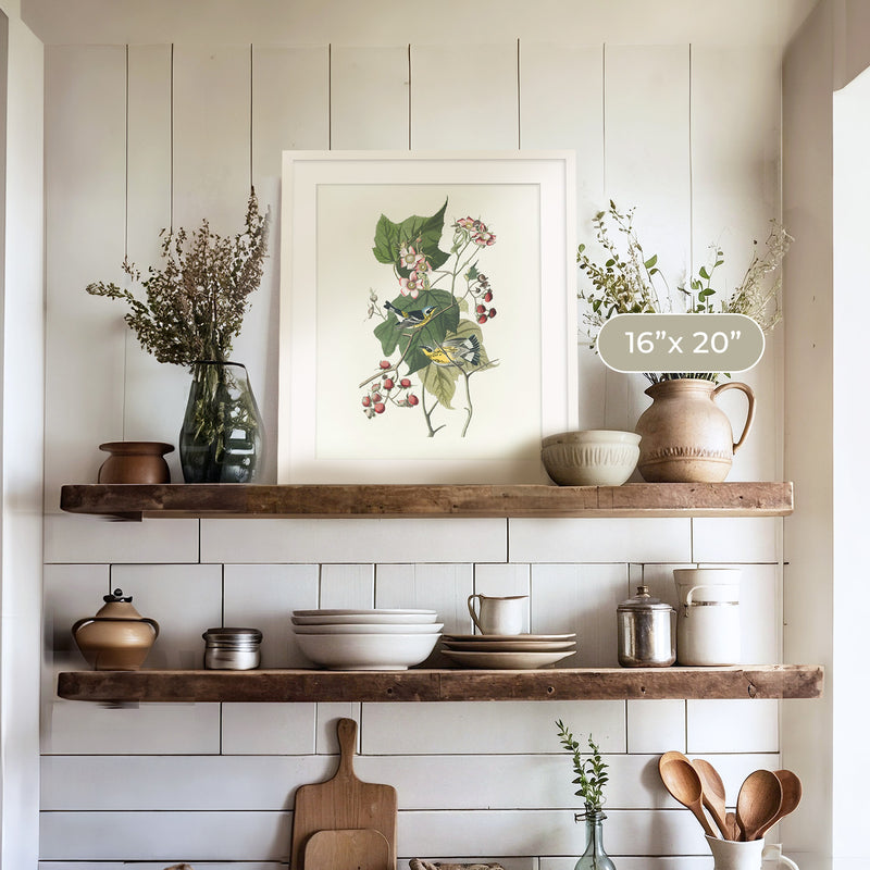 Black and Yellow Warbler Print - Sage and Rose Prints