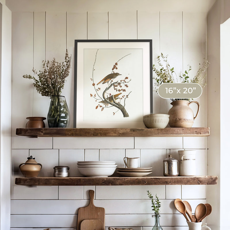 Naturalist Bird Print No1 - Sage and Rose Prints