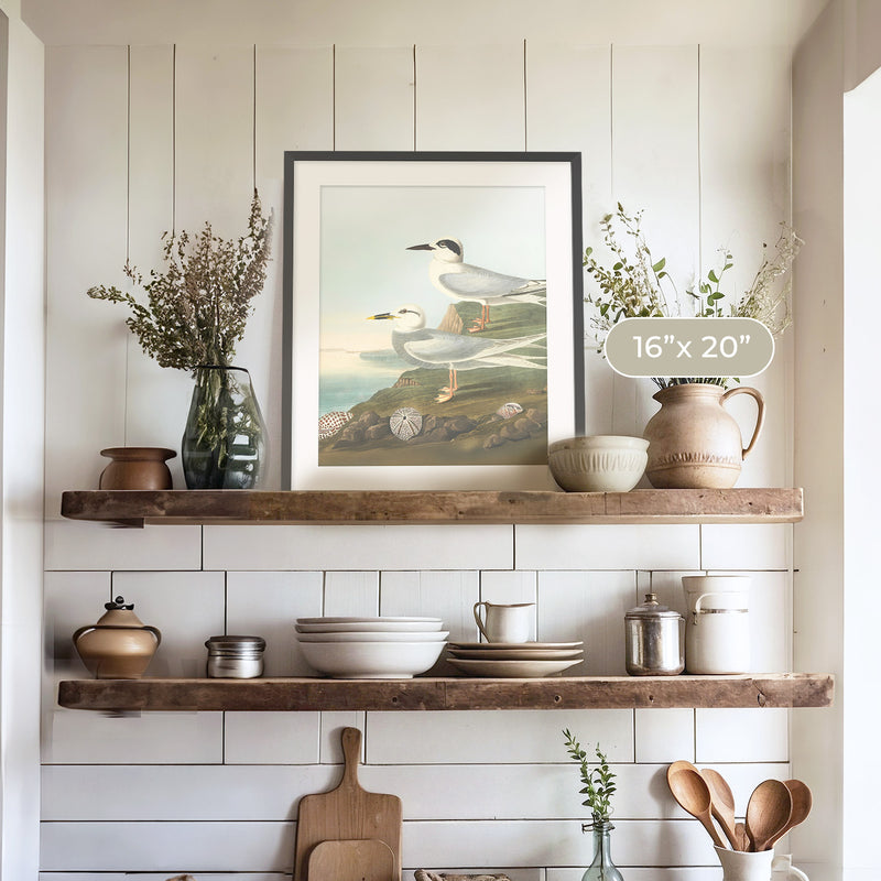 Seagull Print - Sage and Rose Prints