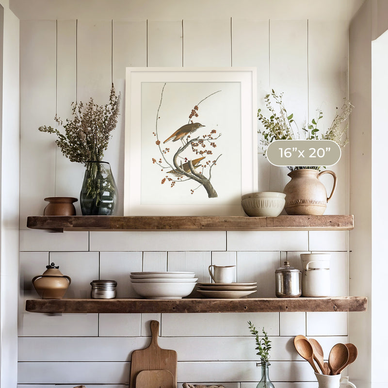 Naturalist Bird Print No1 - Sage and Rose Prints