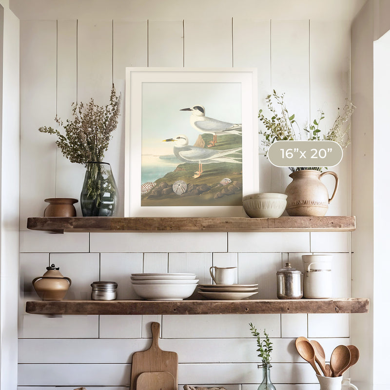 Seagull Print - Sage and Rose Prints