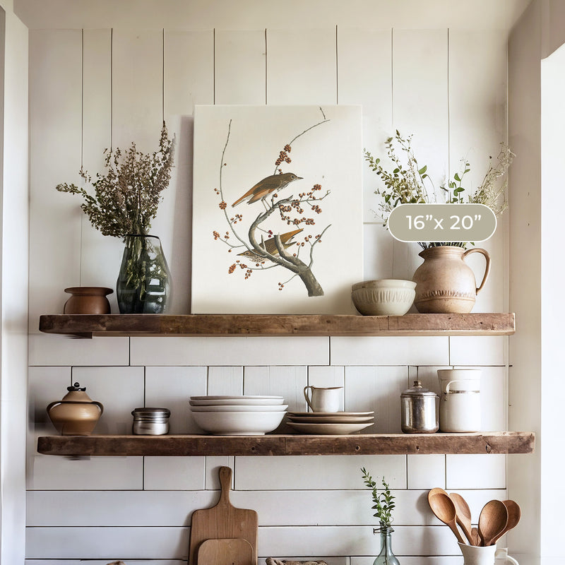 Naturalist Bird Print No1 - Sage and Rose Prints