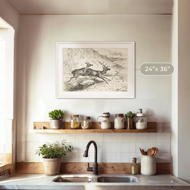 Charcoal Drawing of Deer No2 - Sage and Rose Prints