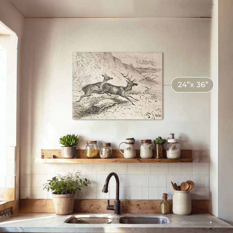 Charcoal Drawing of Deer No2 - Sage and Rose Prints