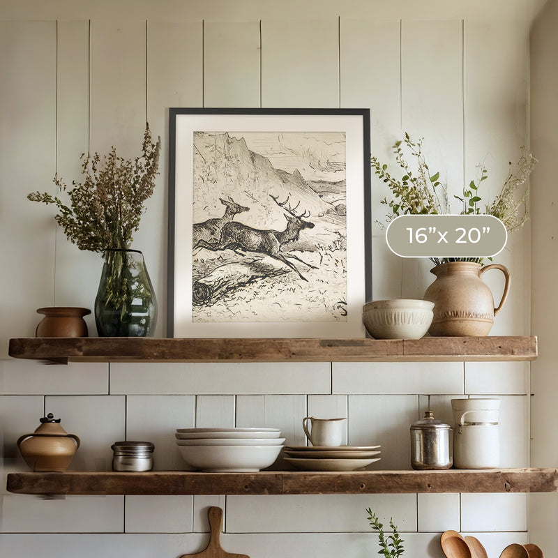 Charcoal Drawing of Deer No1 - Sage and Rose Prints