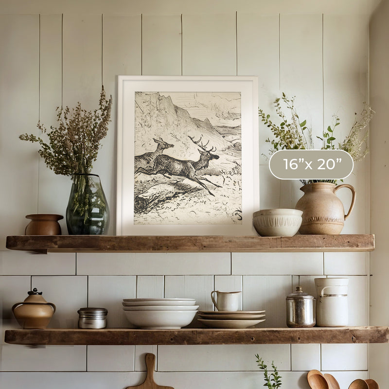 Charcoal Drawing of Deer No1 - Sage and Rose Prints