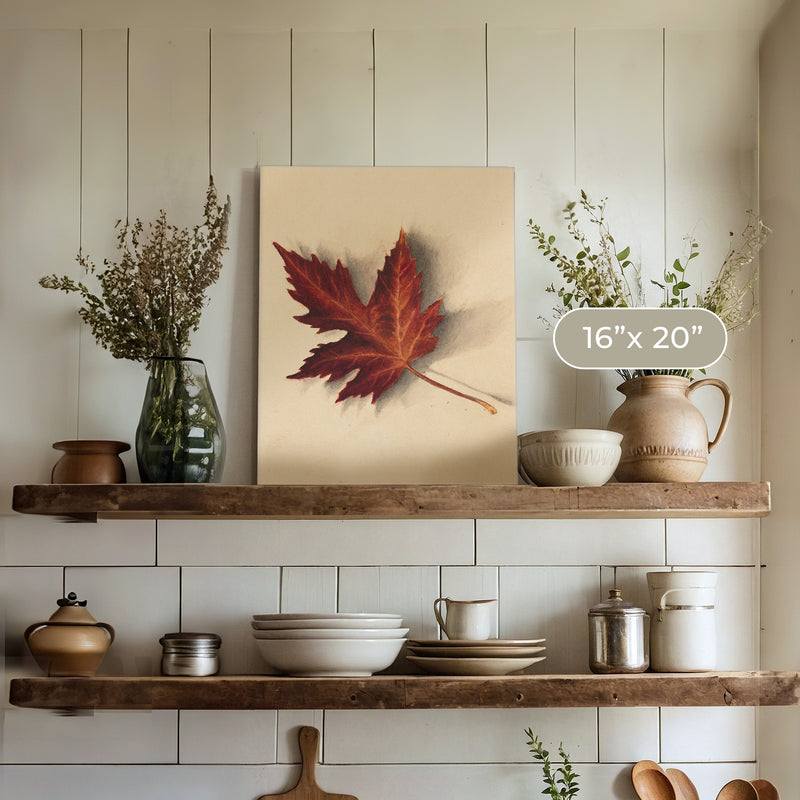Leaf Drawing in Shades of Red No1 - Sage and Rose Prints