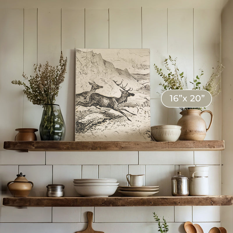 Charcoal Drawing of Deer No1 - Sage and Rose Prints