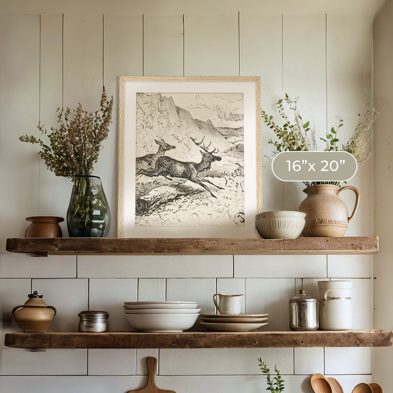 Charcoal Drawing of Deer No1 - Sage and Rose Prints