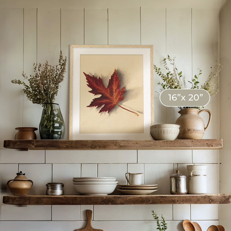 Leaf Drawing in Shades of Red No1 - Sage and Rose Prints