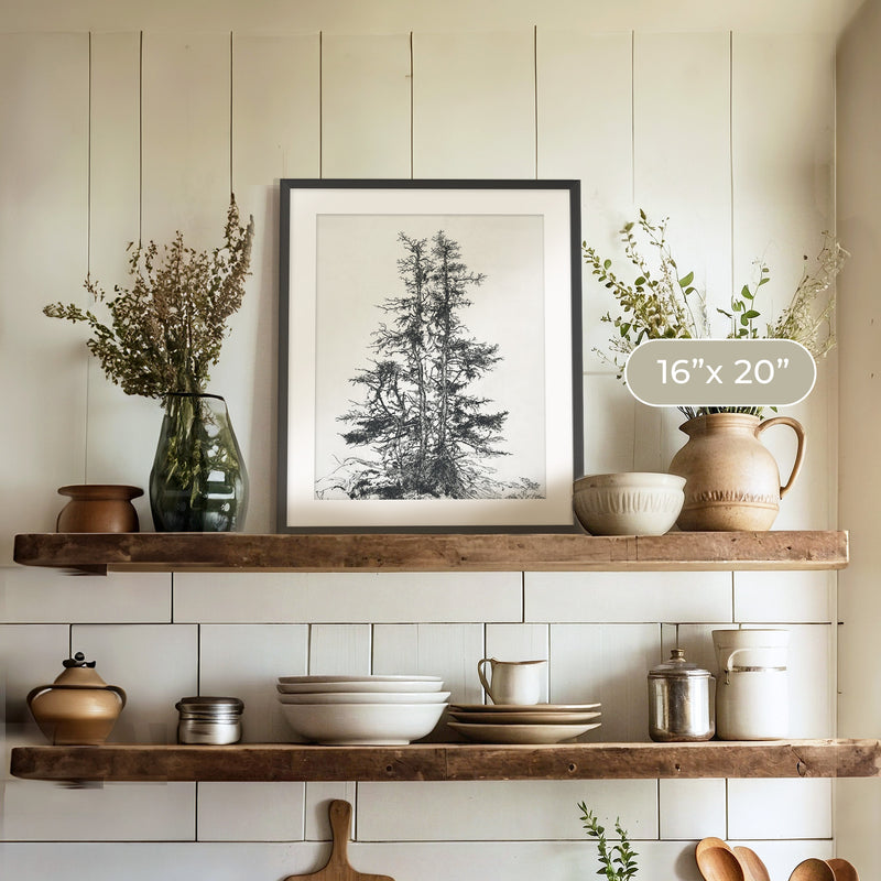 Black and White Tree Illustration No1 - Sage and Rose Prints