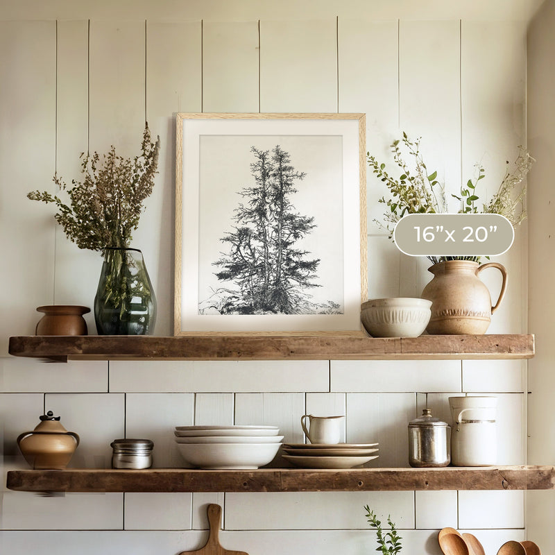 Black and White Tree Illustration No1 - Sage and Rose Prints