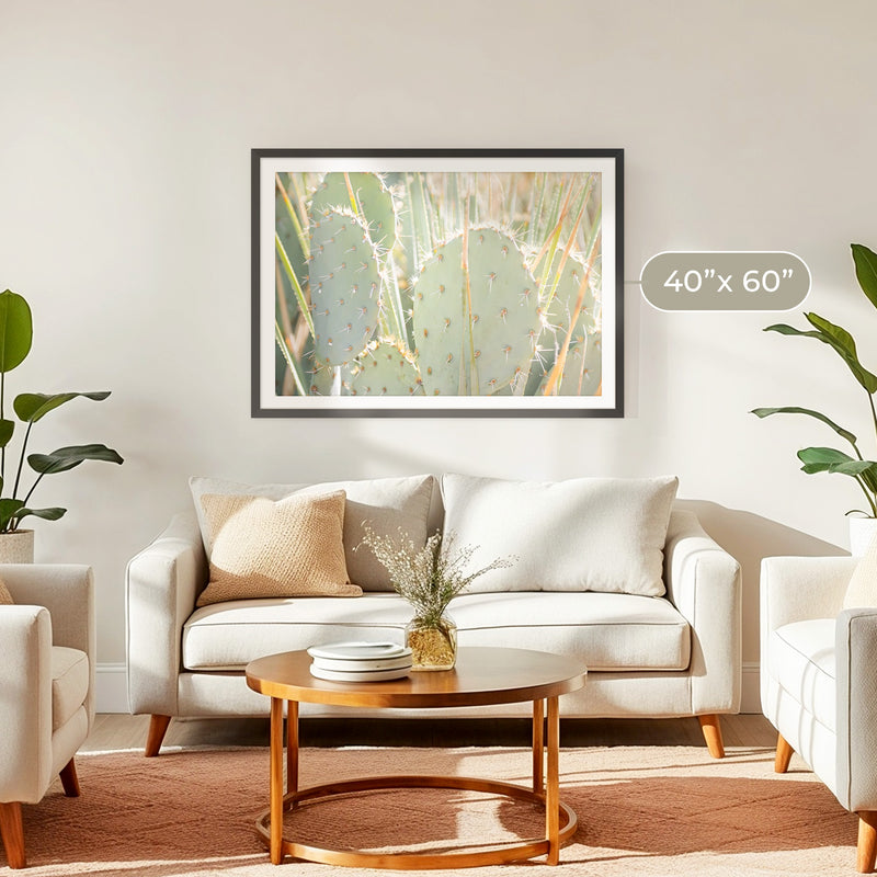 Prickly Pear Cactus Desert Photography No1 - Sage and Rose Prints