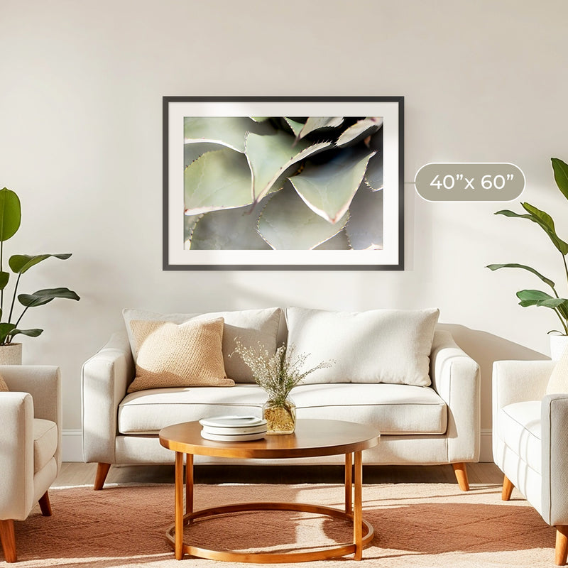 Agave Cactus Geometric Desert Photo Print No1 - Sage and Rose Prints