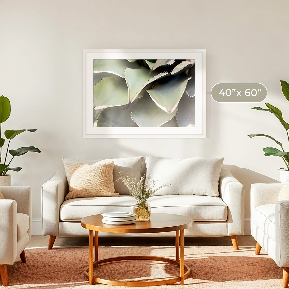 Agave Cactus Geometric Desert Photo Print No1 - Sage and Rose Prints