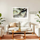Agave Cactus Geometric Desert Photo Print No1 - Sage and Rose Prints