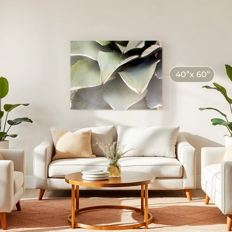Agave Cactus Geometric Desert Photo Print No1 - Sage and Rose Prints