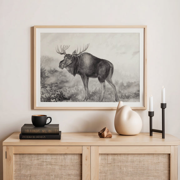 41- Historic Rustic Moose Sketch - Sage and Rose Prints