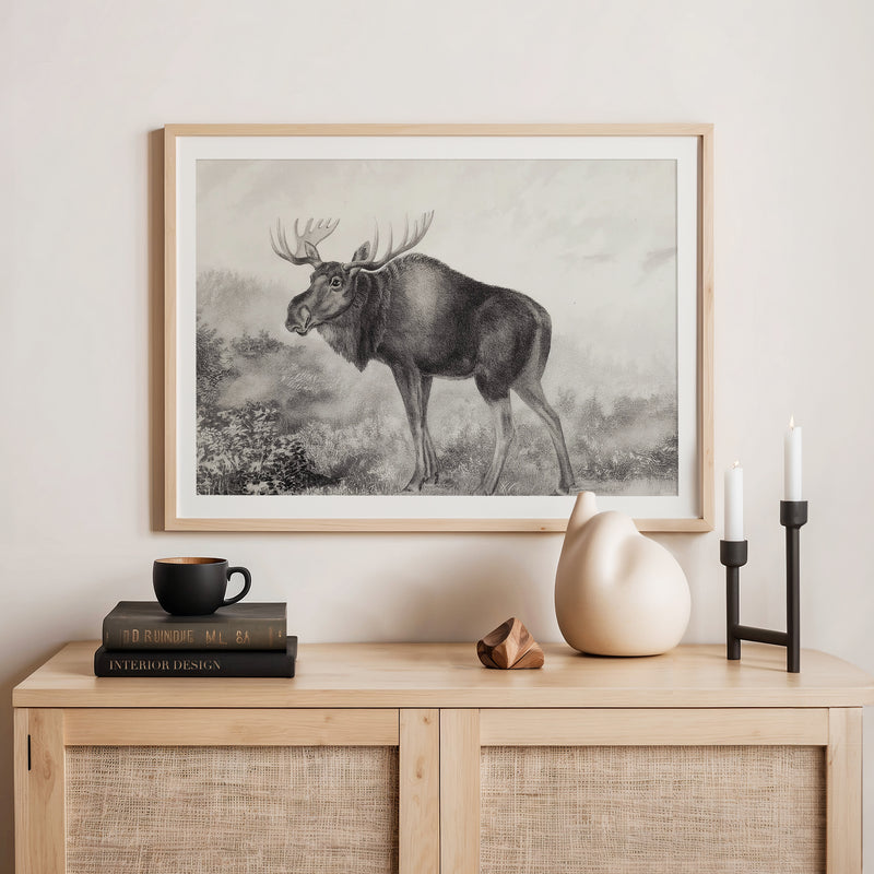 41- Historic Rustic Moose Sketch - Sage and Rose Prints