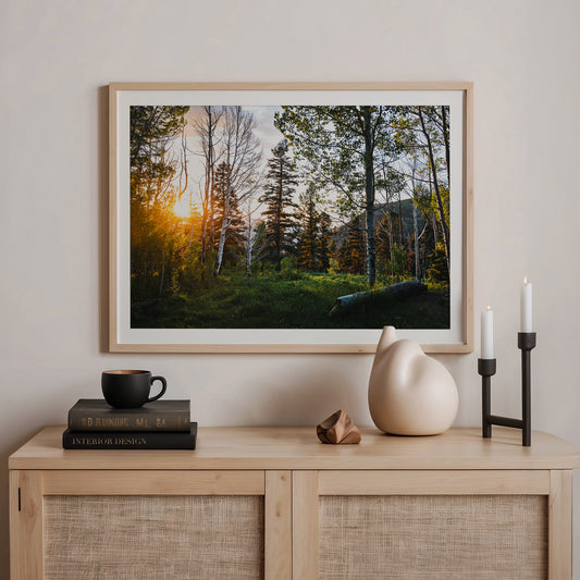 Rays Through the Forest Photography - Sage and Rose Prints